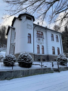 Historická vila Dom hostí, Podbrezová